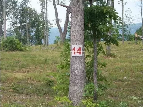 6877 Jackson Point Rd, Sewanee, TN 37375 photo 3