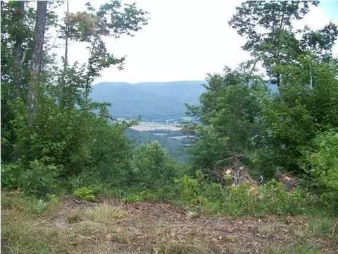 6877 Jackson Point Rd, Sewanee, TN 37375 photo 4