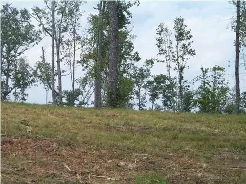 6877 Jackson Point Rd, Sewanee, TN 37375 photo 5