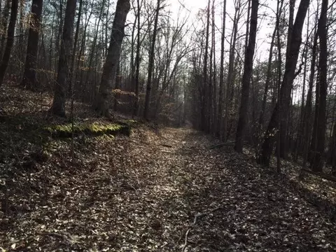 690 Sherry Rd, Jasper, TN 37347 photo 7