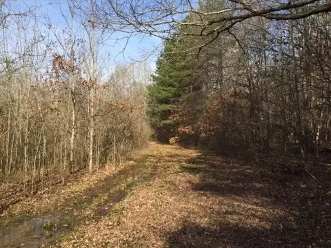 690 Sherry Rd, Jasper, TN 37347 photo 8