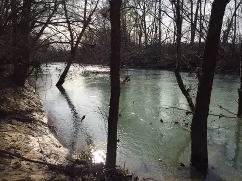 690 Sherry Rd, Jasper, TN 37347 photo 6