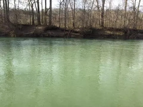 690 Sherry Rd, Jasper, TN 37347 photo 5