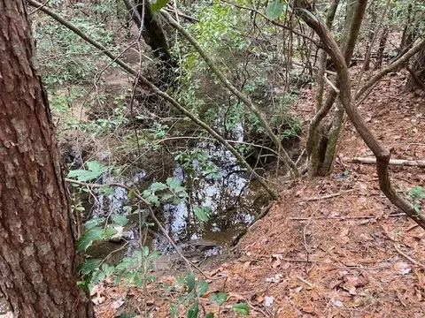 5933 Highway 150, Sequatchie, TN 37374 photo 12