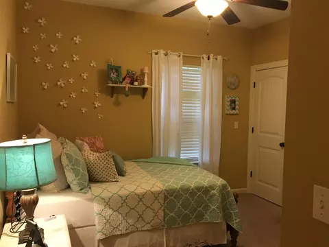 878 Windrush Loop, Chattanooga, TN 37421 photo 9