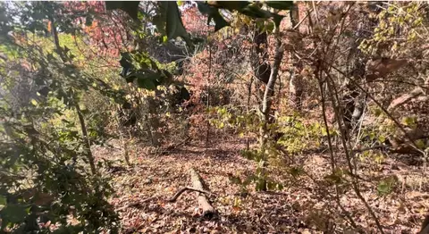 0 Terry Ct #LOT 30, Chattanooga, TN 37411