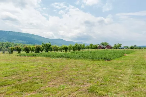 8299 E Valley Rd, Dunlap, TN 37327 photo 13