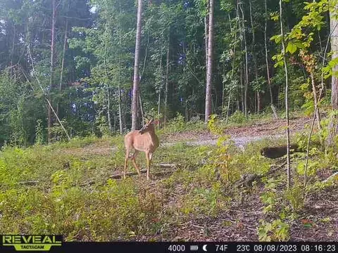 89 One West Dr, Pikeville, TN 37367