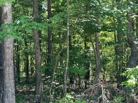 189 Kyuga Dr, South Pittsburg, TN 37380