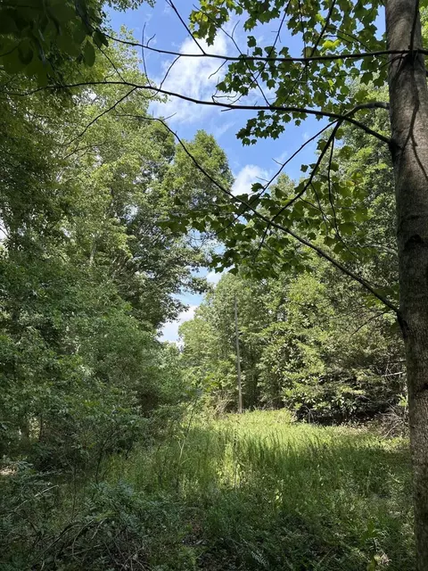 1 Flat Branch Rd, Tracy City, TN 37387