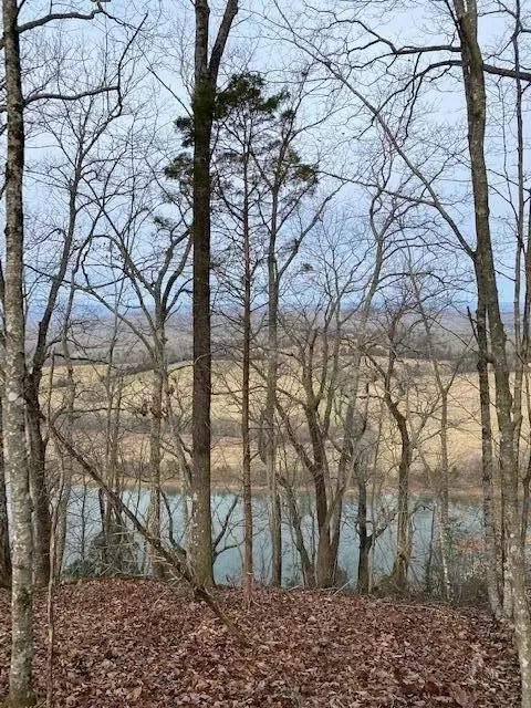 6 River Rd, Decatur, TN 37322