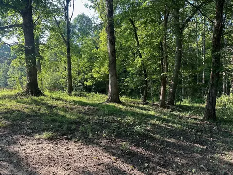8 Prater Rd, Pikeville, TN 37367