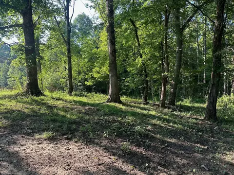 8 Prater Rd, Pikeville, TN 37367