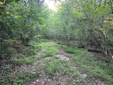 877 Stagecoach Rd, South Pittsburg, TN 37380