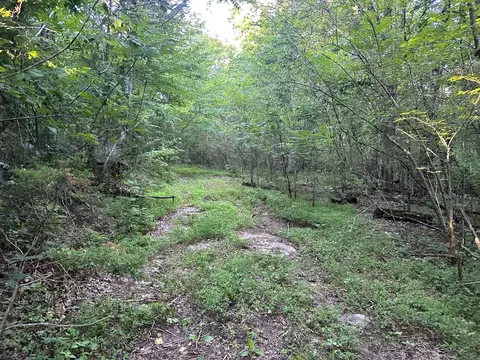 877 Stagecoach Rd, South Pittsburg, TN 37380