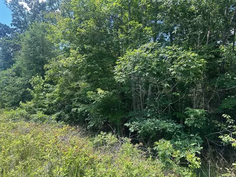 104 Chesadu Cir, South Pittsburg, TN 37380