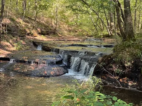 535 Goodman Branch Rd, Hohenwald, TN 38462