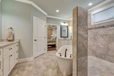 Bath - 2008 Imagine Cir, Spring Hill, TN 37174 photo 7 of 8