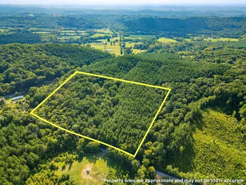 366 Redman Ln, Decatur, TN 37322