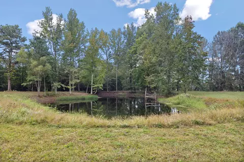 9138 Highway 20, Summertown, TN 38483