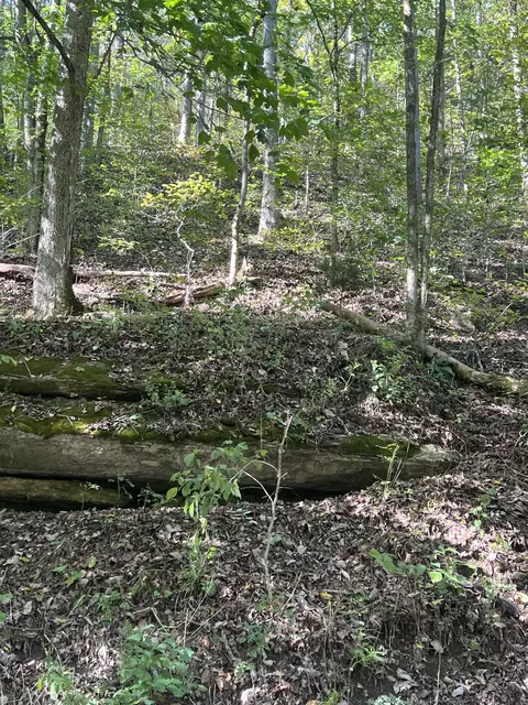 0 Neeley Creek Rd, Celina, TN 38551
