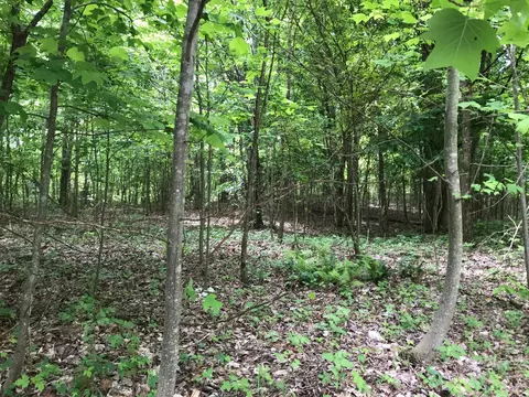 512 Wilderness Way, Dunlap, TN 37327