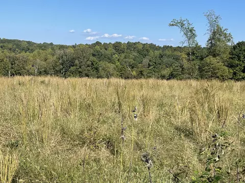 0 Oak Grove Rd, Red Boiling Springs, TN 37150