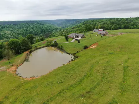 64 Co Rd 452, Section, AL 35771 photo 7