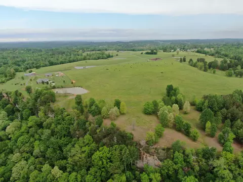 64 Co Rd 452, Section, AL 35771 photo 37