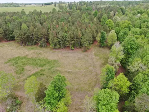64 Co Rd 452, Section, AL 35771 photo 34