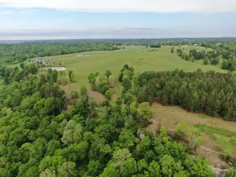 64 Co Rd 452, Section, AL 35771 photo 36