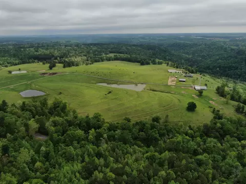 64 Co Rd 452, Section, AL 35771 photo 41
