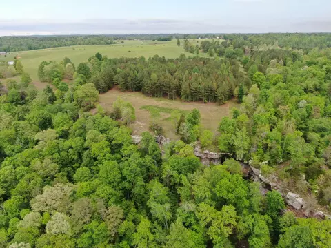 64 Co Rd 452, Section, AL 35771 photo 35