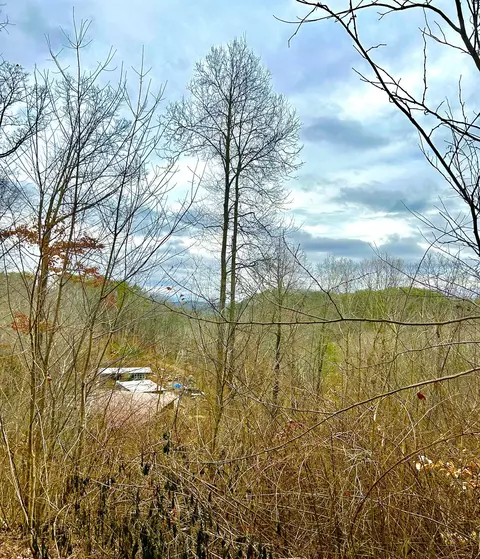 0 N Cedar Ln, Flintstone, GA 30725