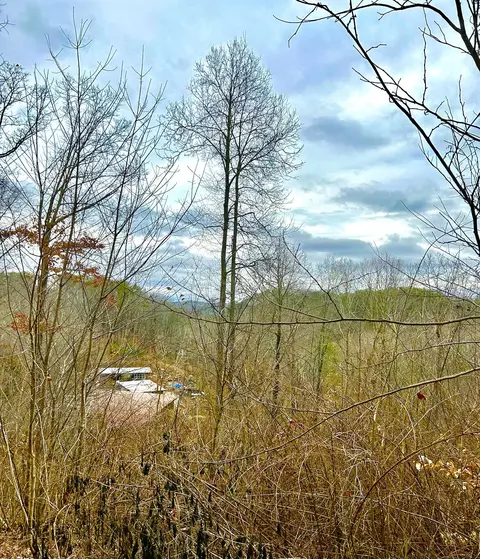 0 N Cedar Ln, Flintstone, GA 30725