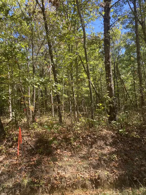 4 Laurel Lake Dr, Monteagle, TN 37356