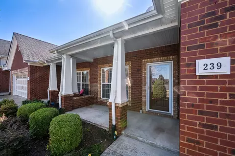 239 Whiteamore Run, Murfreesboro, TN 37128 photo 29