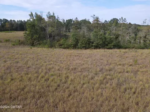 0 Tract 3 Hwy 100 Old Stage Rd, Decaturville, TN 38329
