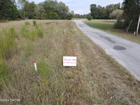 0 Tract 4 Hwy 100 Old Stage Rd, Decaturville, TN 38329