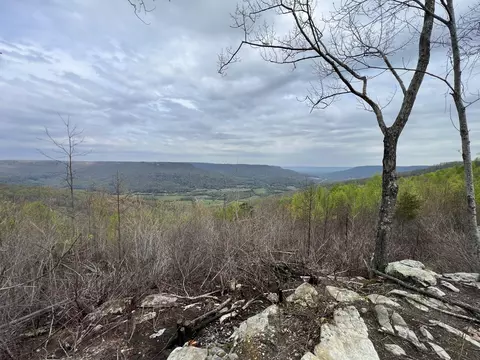 6123 Jackson Point Rd, Sewanee, TN 37375 photo 3