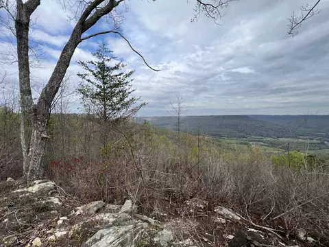 6123 Jackson Point Rd, Sewanee, TN 37375