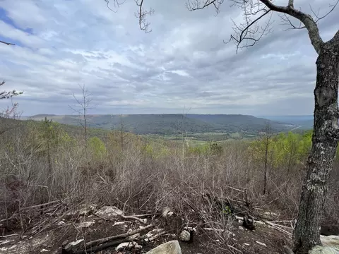 6123 Jackson Point Rd, Sewanee, TN 37375 photo 2