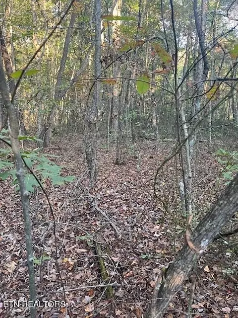 0 Jump Off Pl, Monterey, TN 38574
