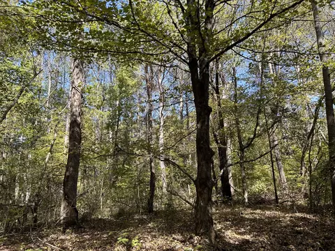 0 Camp Rd, Hohenwald, TN 38462