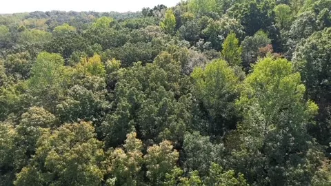 0 Chalk Hill Ch Rd, Camden, TN 38320