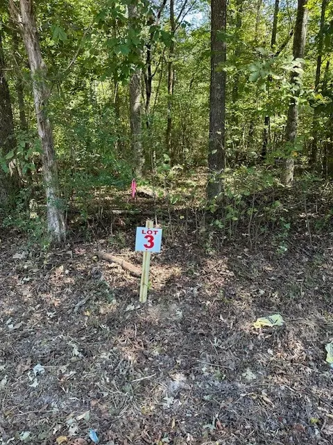 0 Sales Landing Rd, Camden, TN 38320