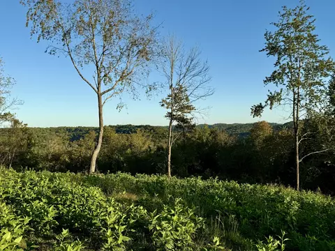 0 Old Hwy 31e, Bethpage, TN 37022