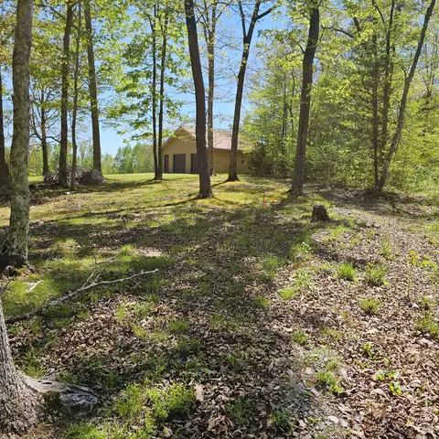 0 Young Green Rd, Smithville, TN 37166