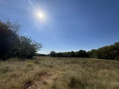 Other - 1893 Briar Patch Rd, Prospect, TN 38477 photo 3 of 12
