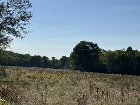 Other - 1893 Briar Patch Rd, Prospect, TN 38477 photo 5 of 12